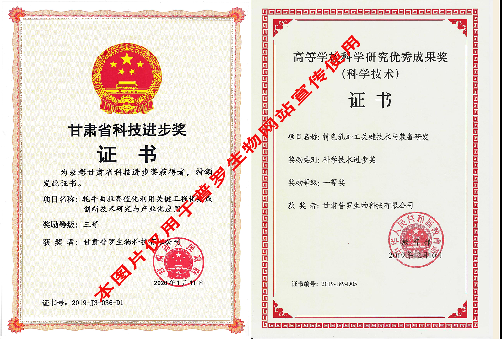 科技技術進步獎